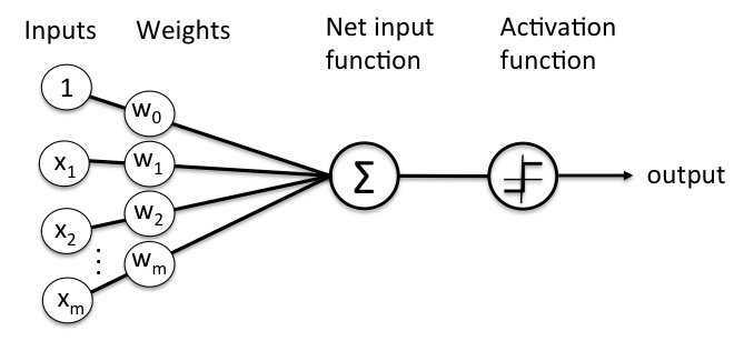 perceptron